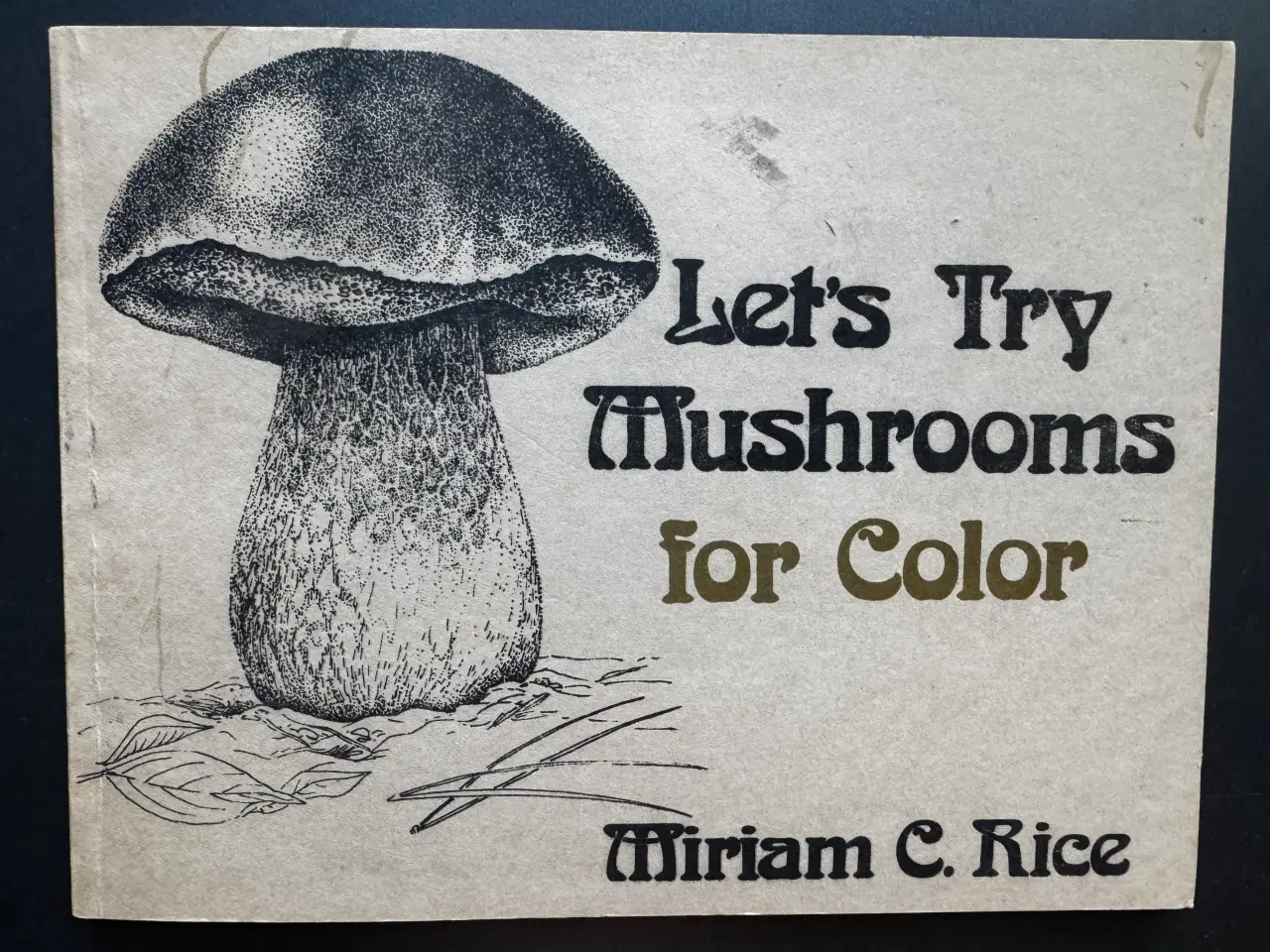 Billede 1 - Let's Try Mushrooms for Color * © Miriam C. Rice