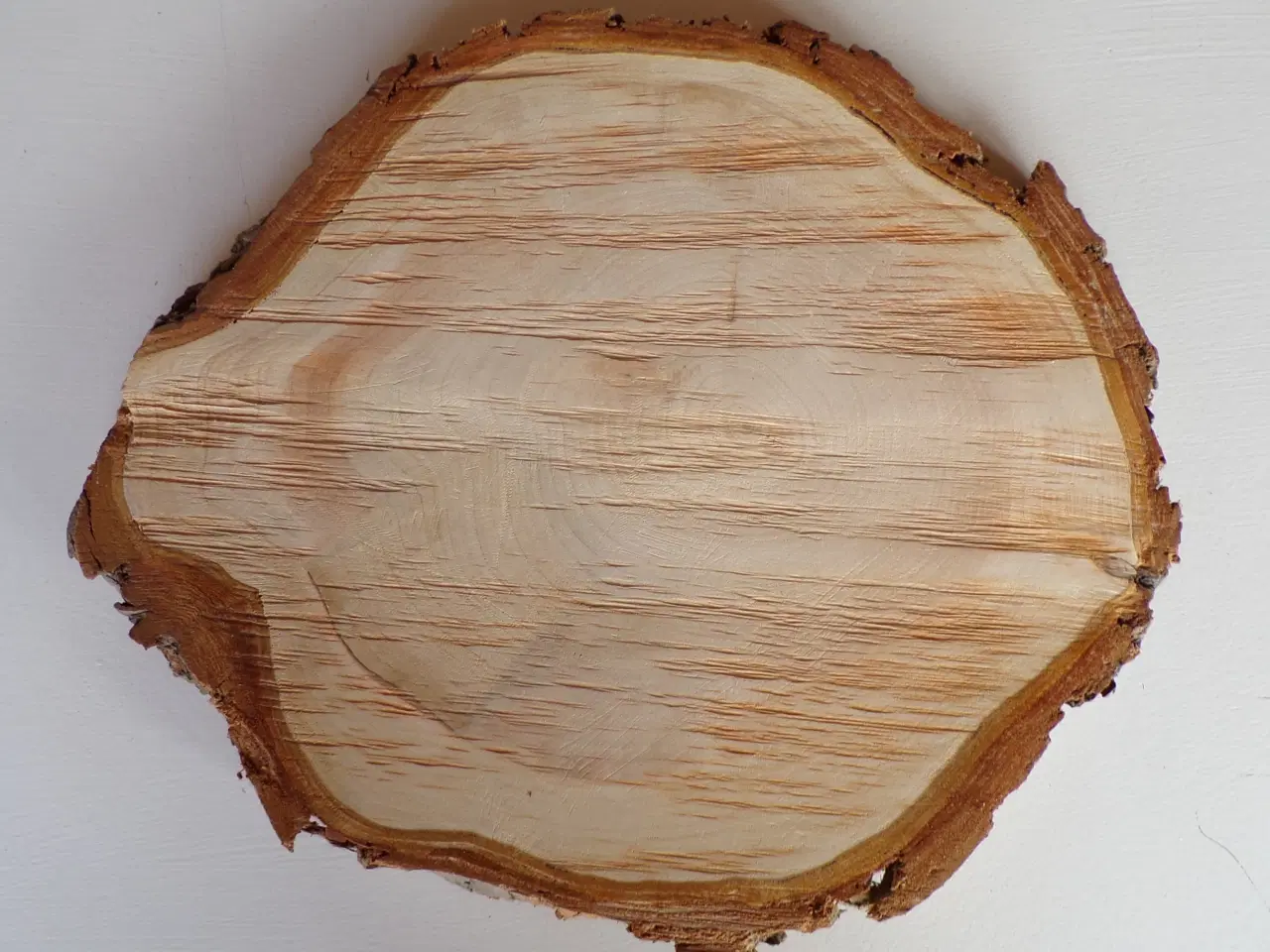 Billede 2 - NY Thuja Træskive med bark 32,5 cm lang