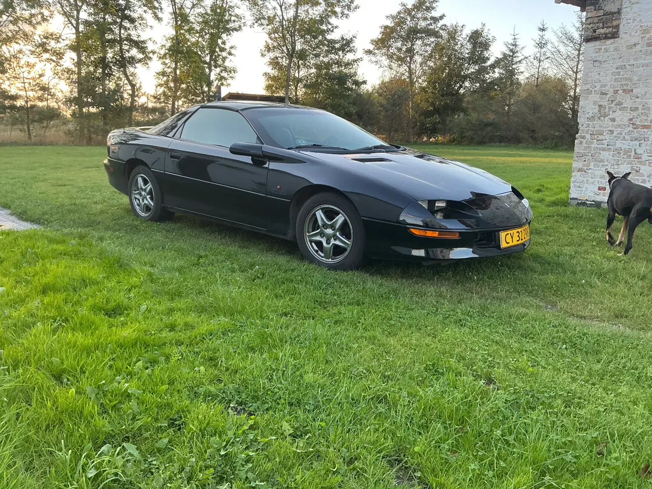 Billede 2 - Chevrolet camaro v8