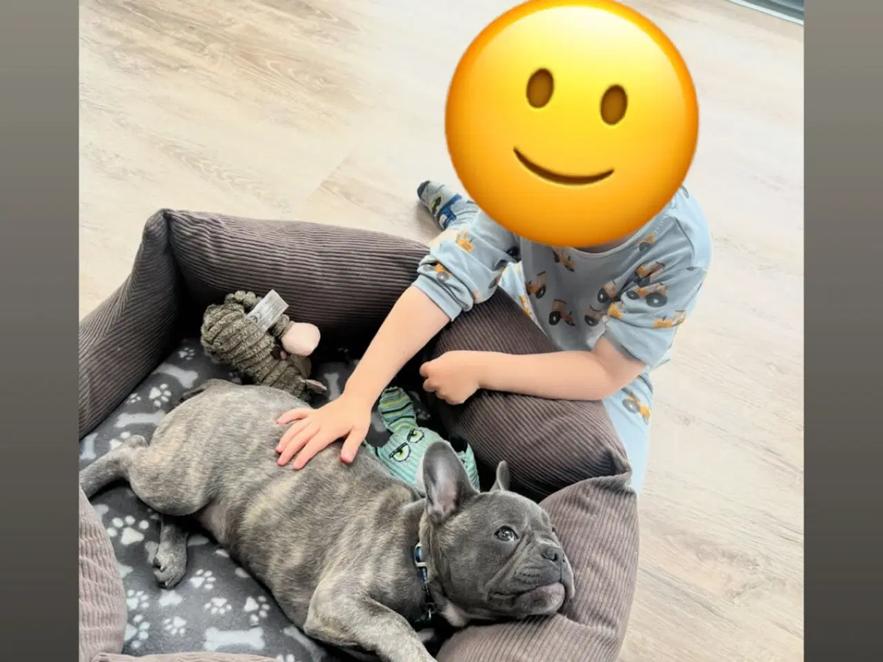 Billede 6 - 🐾Hvalp søger nyt kærligt hjem🐾