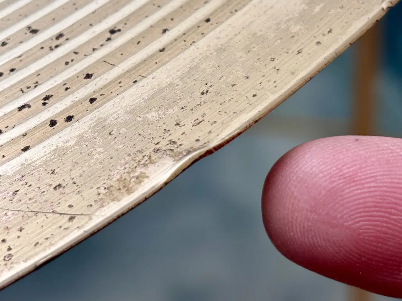 Billede 4 - 20” bækken Meinl Meteor Ride 