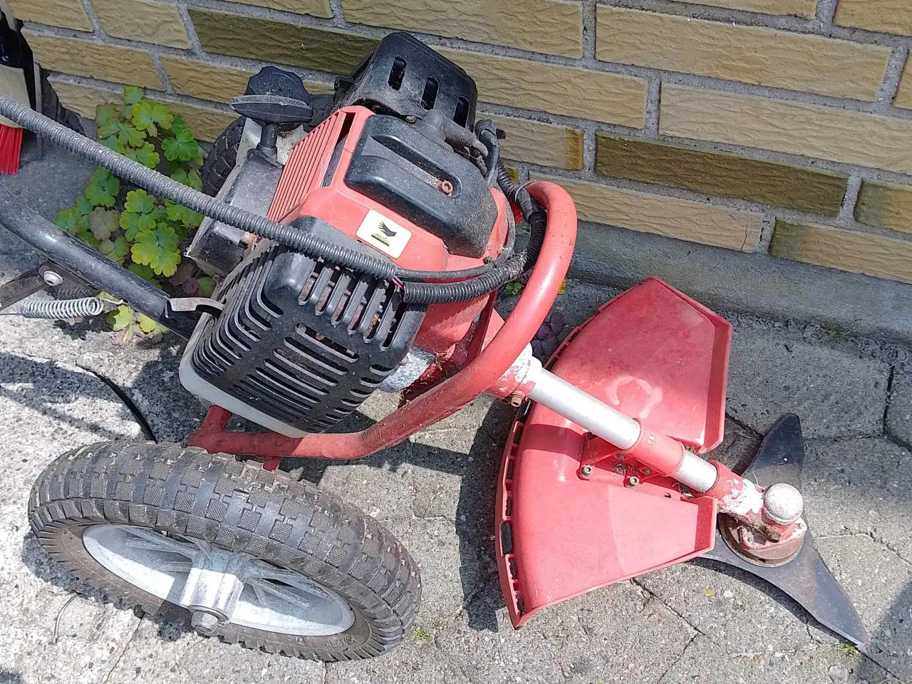 Billede 2 - Græstrimmer/buskrydder på hjul