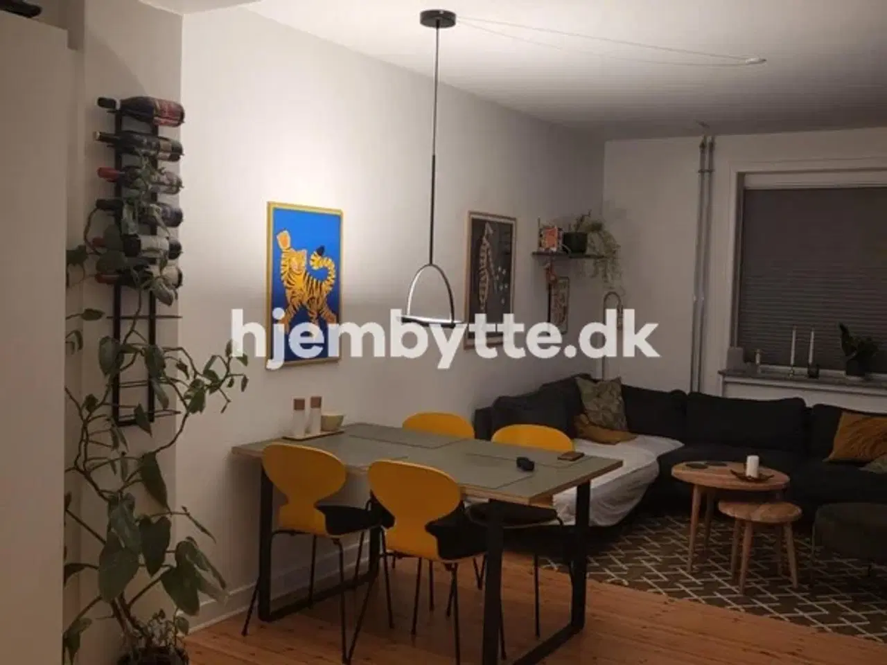 Billede 1 - Hjembytte - Frimestervej