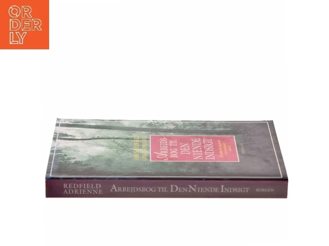 Billede 2 - Den niende indsigt : en opdagelsesrejse. Arbejdsbog : hvordan du integrerer de ni indsigter i dit liv (Bog)