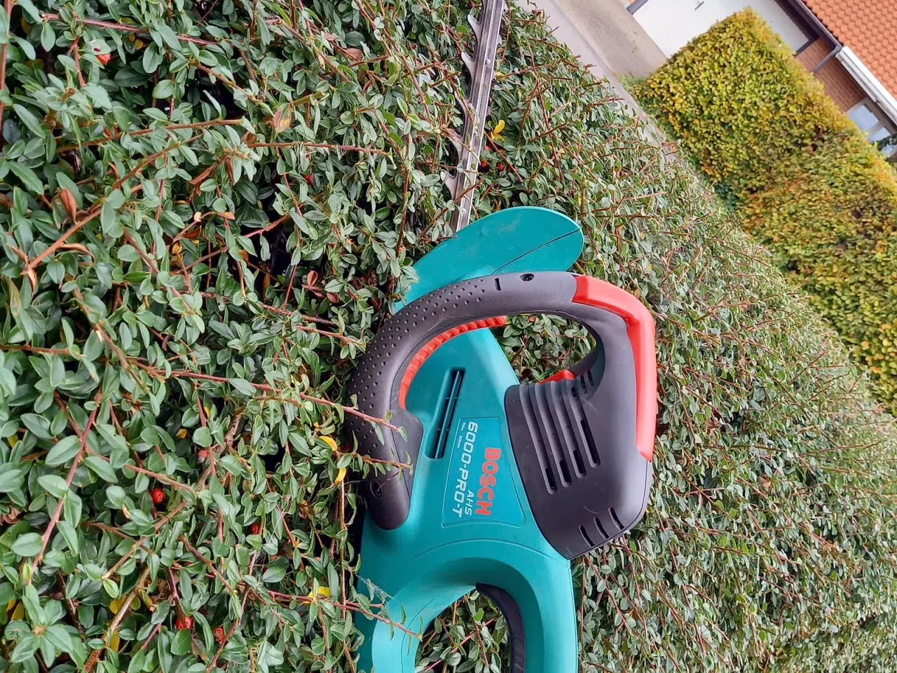Billede 1 - Bosch AHS 6000 PRO-T hækkeklipper med 600 mm sværd