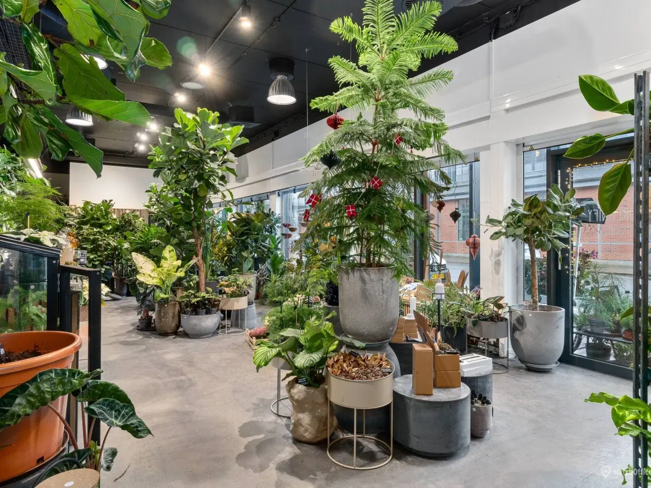 Billede 18 - Udsigt og attraktive faciliteter