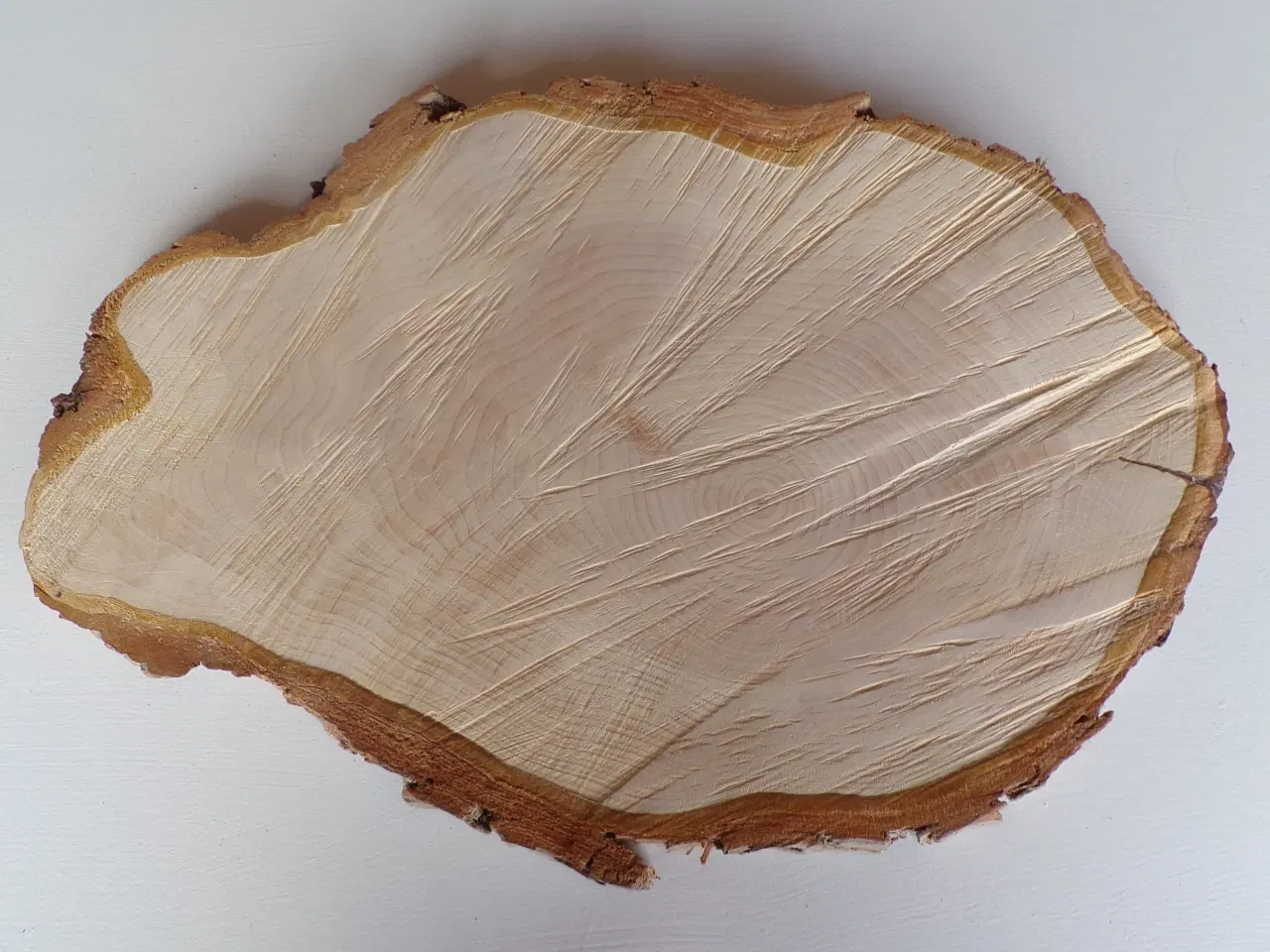 Billede 3 - NY Thuja Træskive med bark 40 cm lang