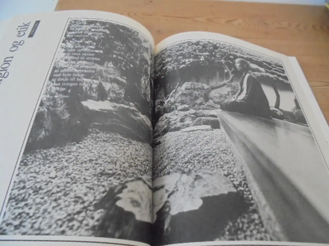 Billede 9 - Japan – Sommerudstilling i Brede 1983