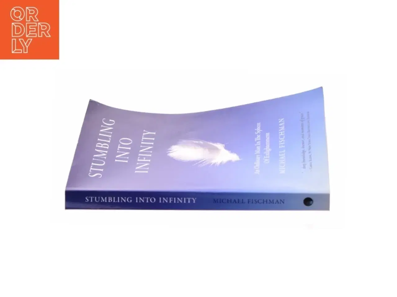 Billede 3 - Stumbling Into Infinity af Fischman, Michael (Bog)