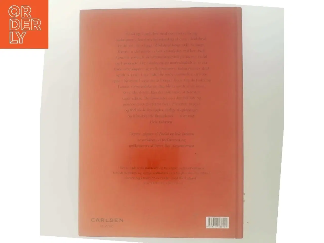 Billede 3 - Fadul og hele fadæsen : en børnebog af Iselin C. Hermann (Bog)