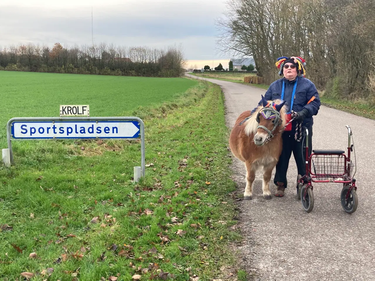 Billede 3 - Shetlænder tilkørt søger nyt hjem