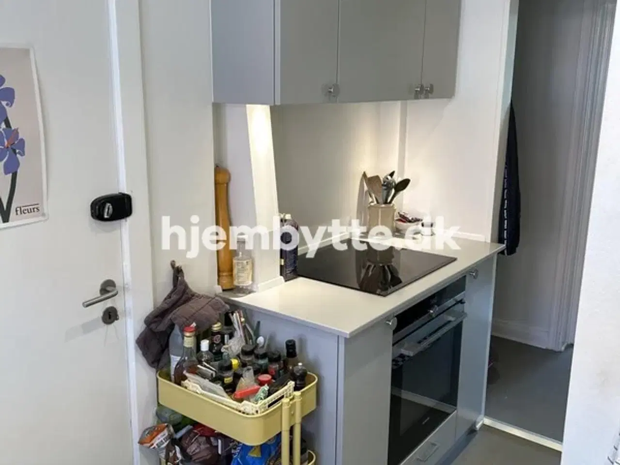 Billede 4 - Hjembytte - Lillegrund