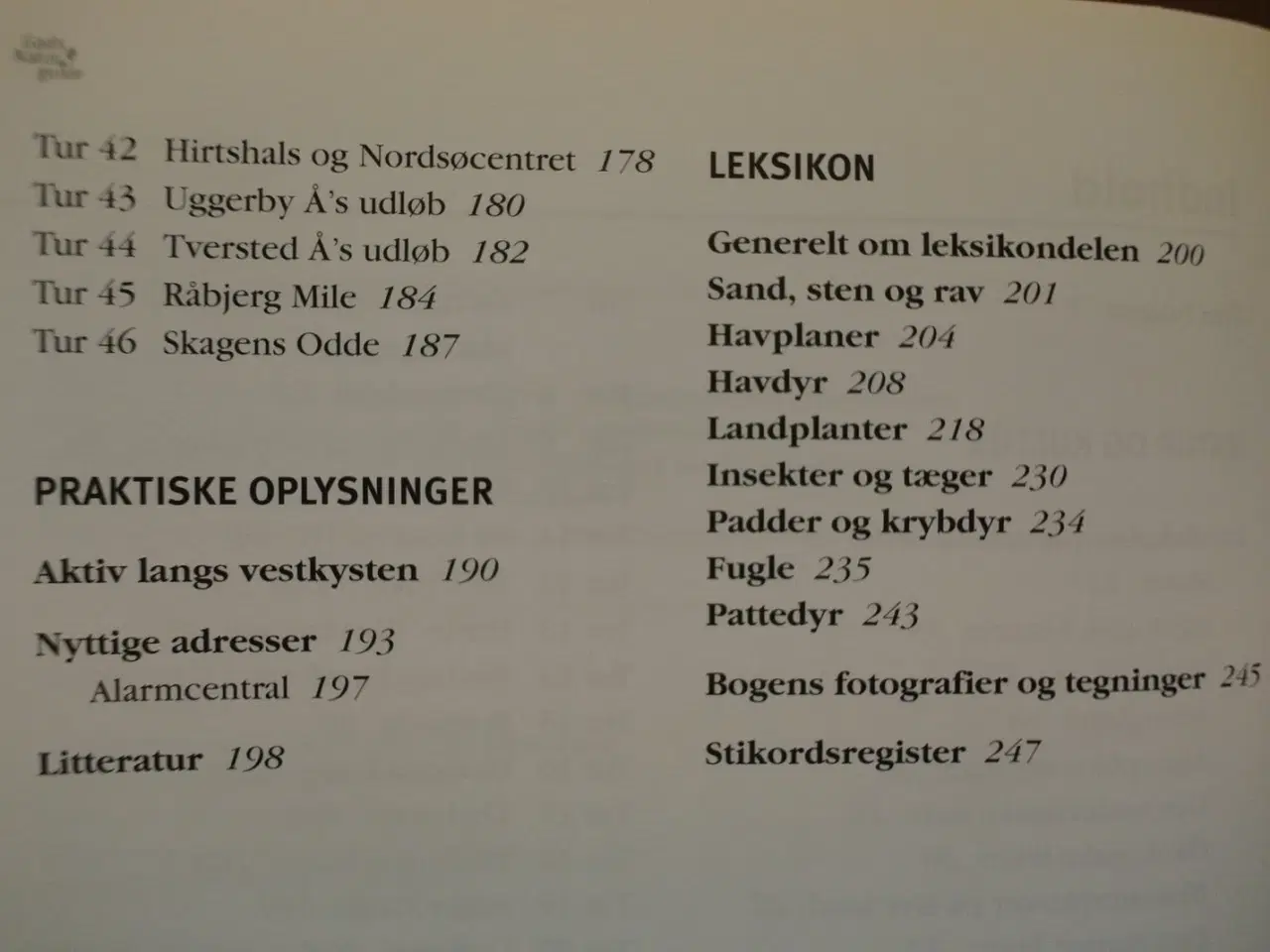 Billede 3 - jyllands vestkyst, af jens justesen, emne: natur o