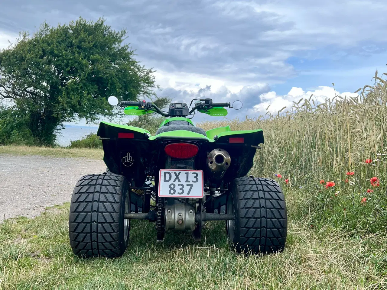 Billede 5 - Hyosung te 450 gade atv