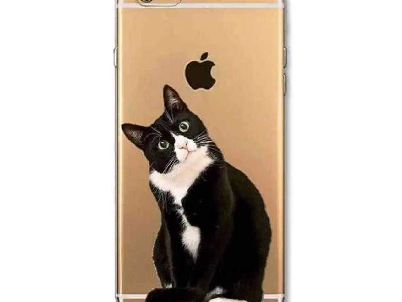 Billede 6 - Silikone cover iPhone 5 5s SE 6 6s 7 8