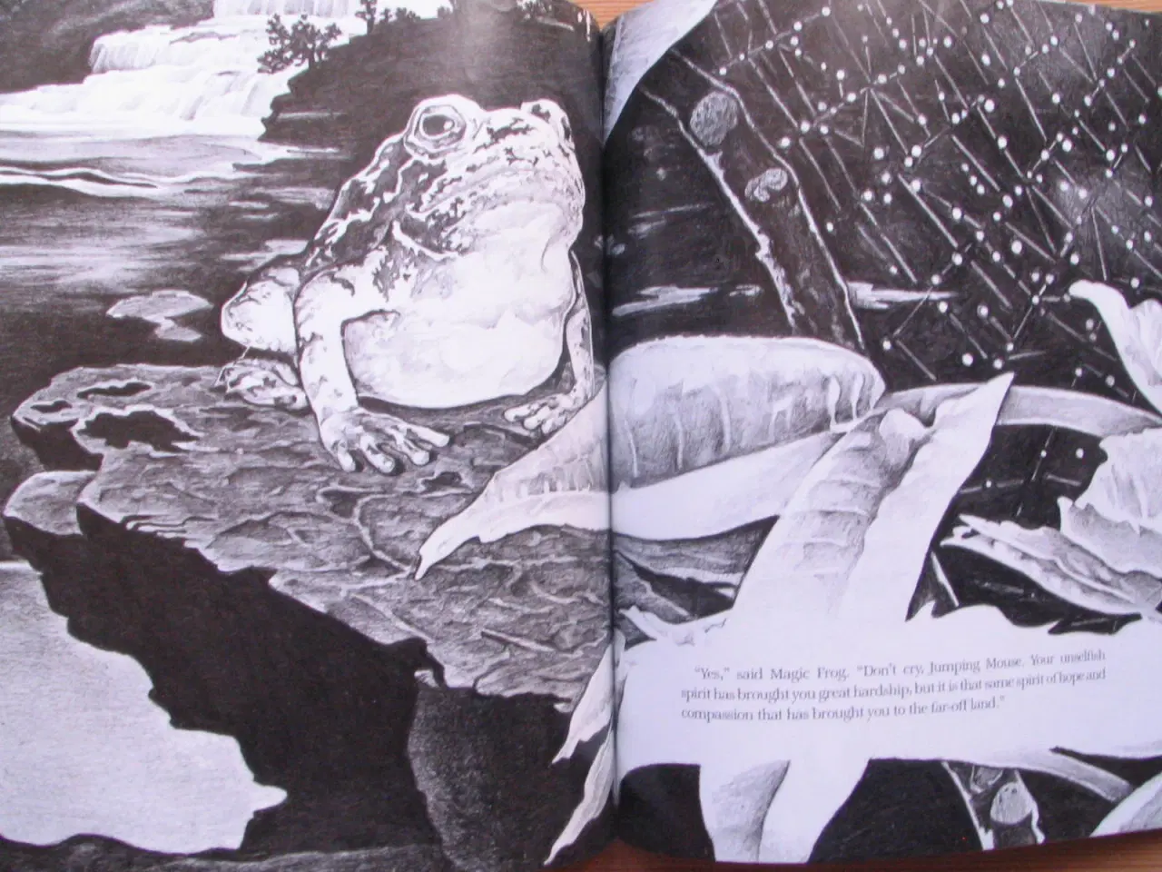 Billede 6 - The story of Jumping Mouse