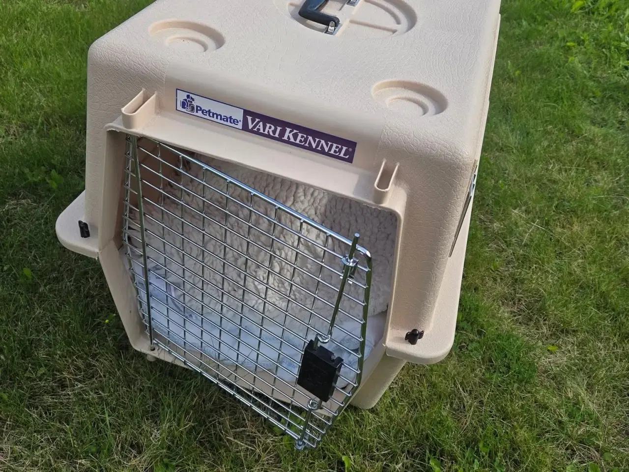 Billede 1 - Stor transportkasse til hund/kat