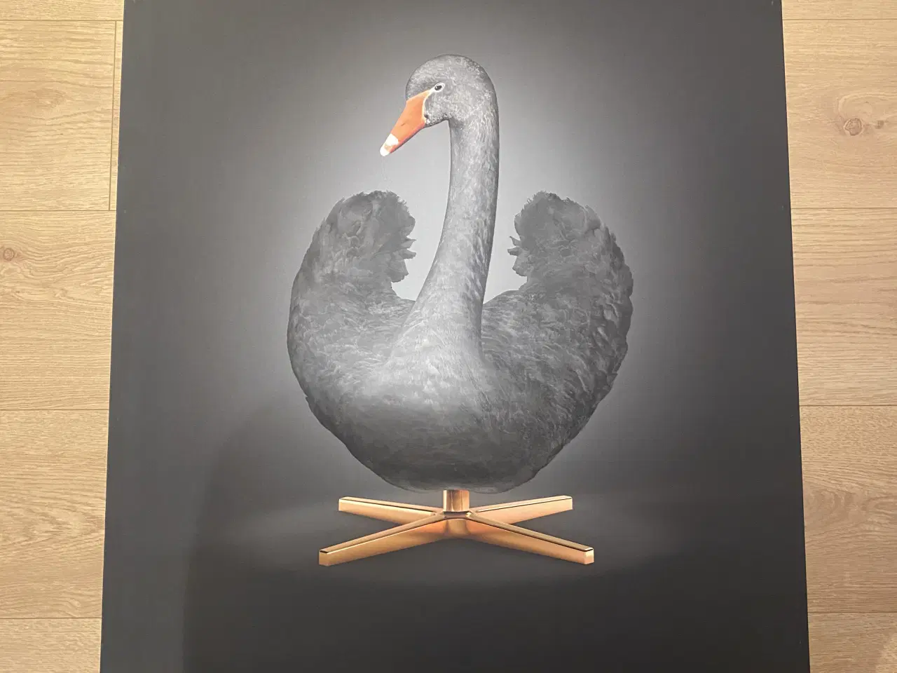 Billede 1 - Plakat fra Brainchild str.70X100 cm