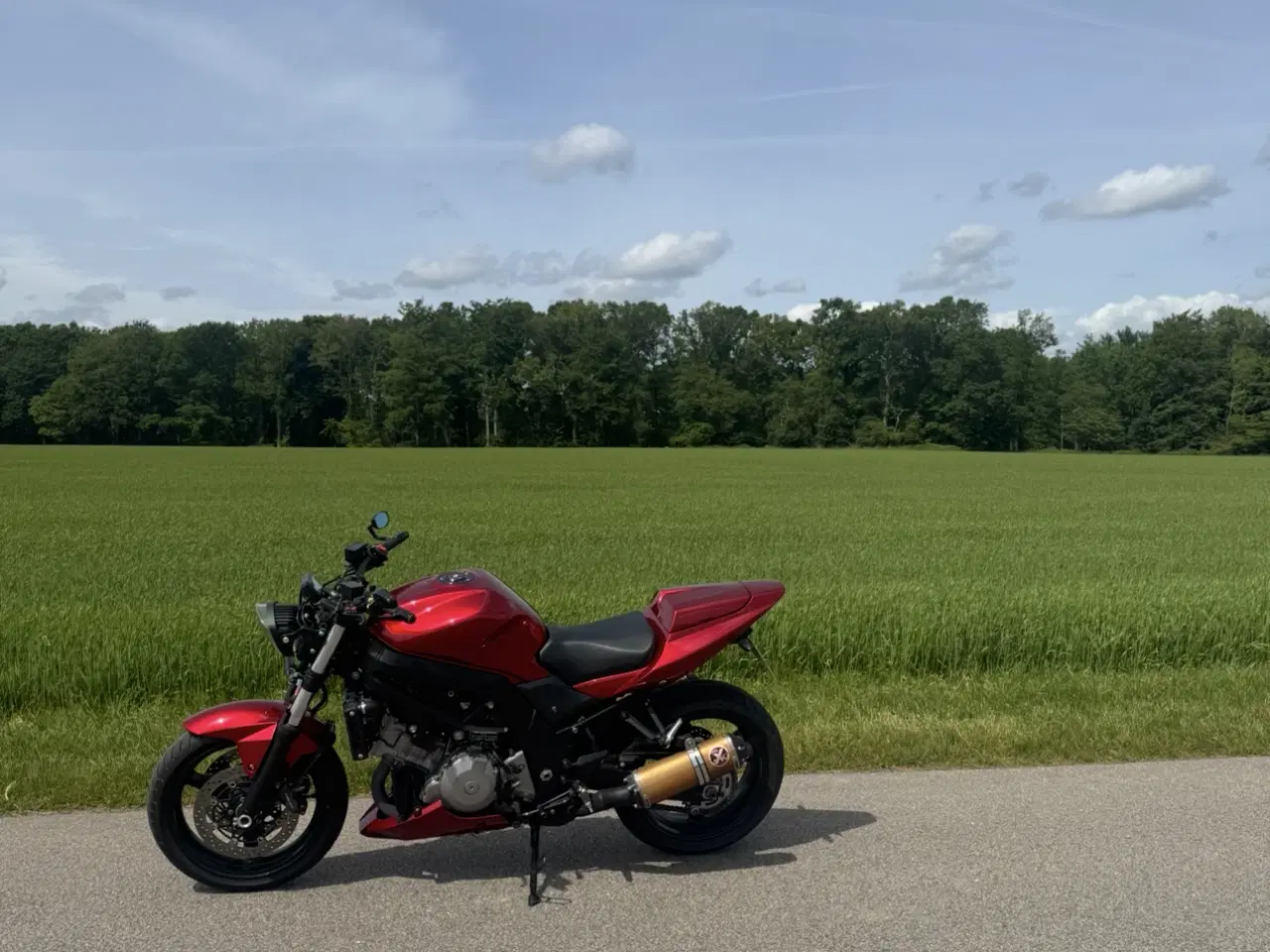 Billede 2 - Suzuki sv 1000N