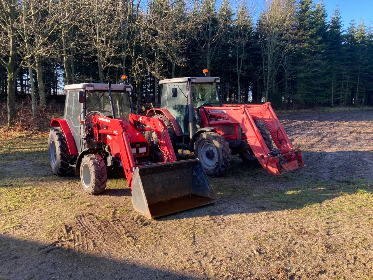 Billede 6 - Massey Ferguson KØBES