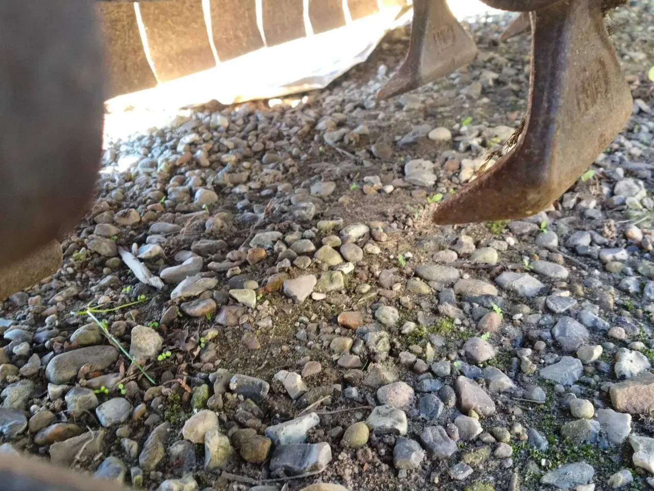 Billede 5 - Ortolan TSB 250