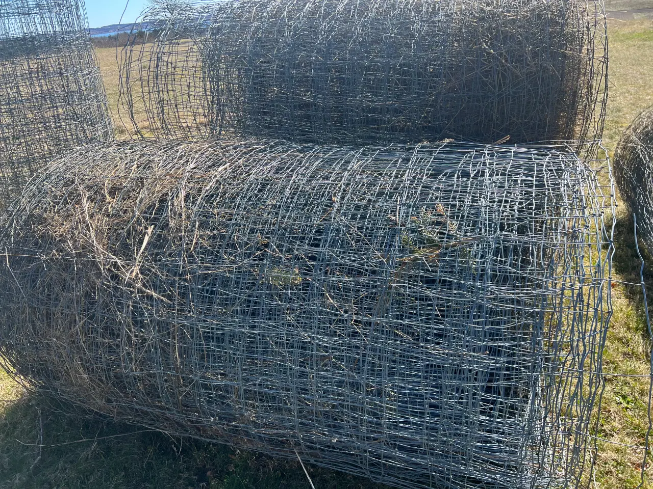 Billede 2 - Vildthegn, ca 400 m, med træpæle, kraftig tråd