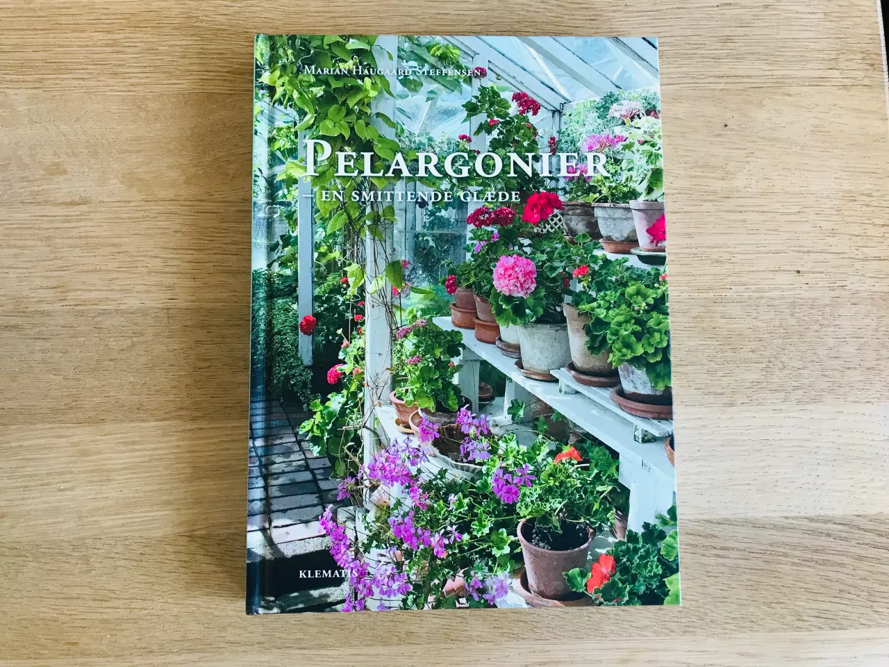 Billede 1 - Pelargonier - en smittende glæde