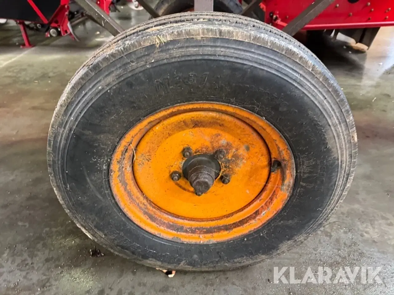 Billede 6 - Roe renser Triumf