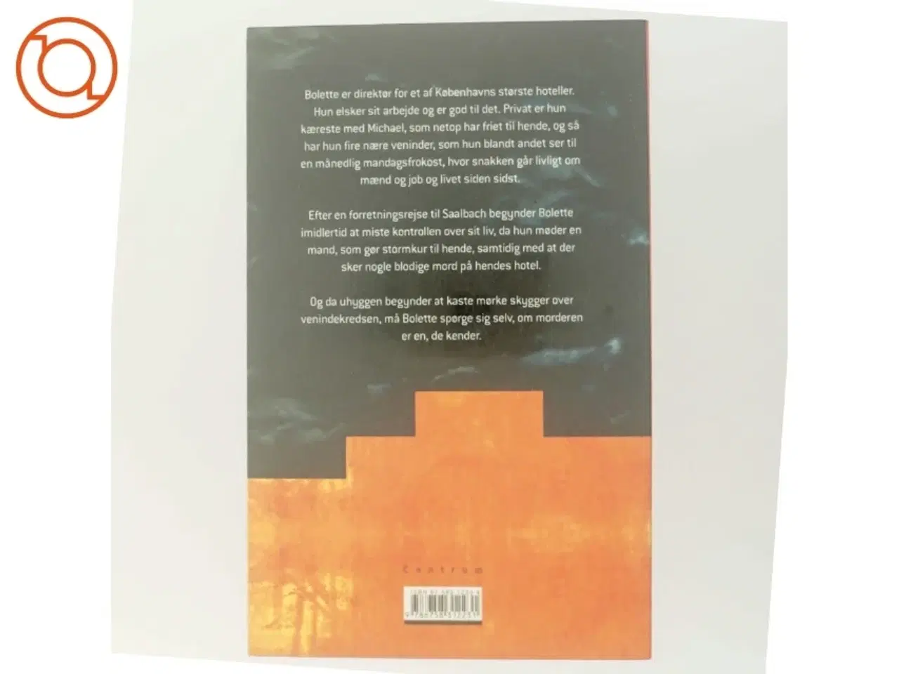 Billede 3 - Mørkeglimt : roman af Anita Lehmann Nelson (Bog)