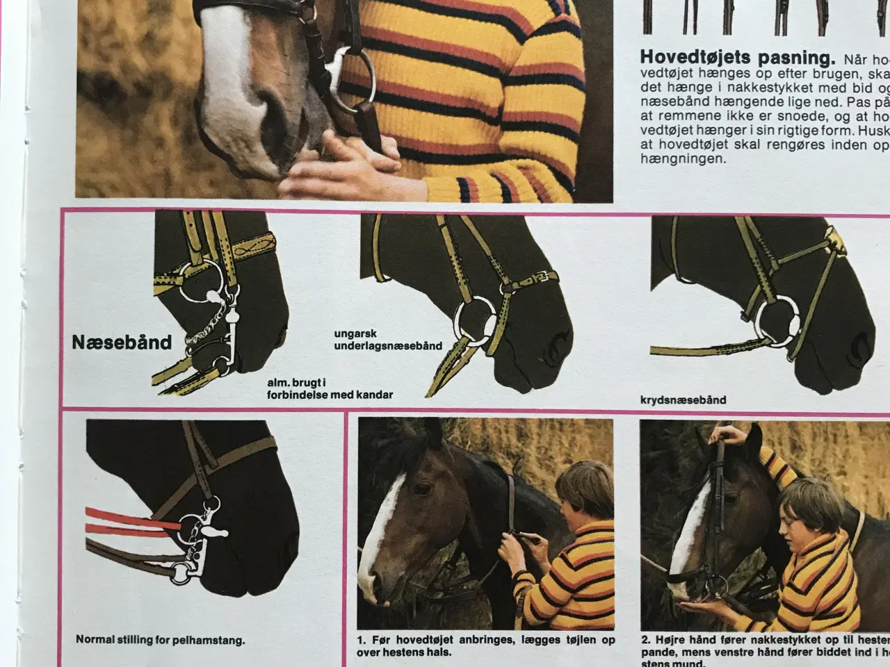 Billede 4 - Ridning og springning