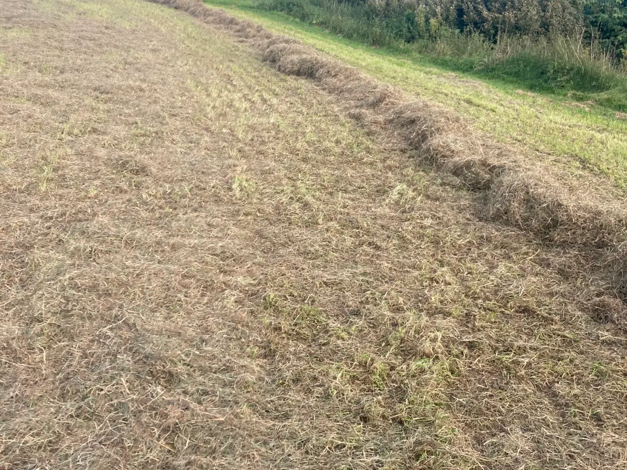 Billede 3 - Haublitz siderive