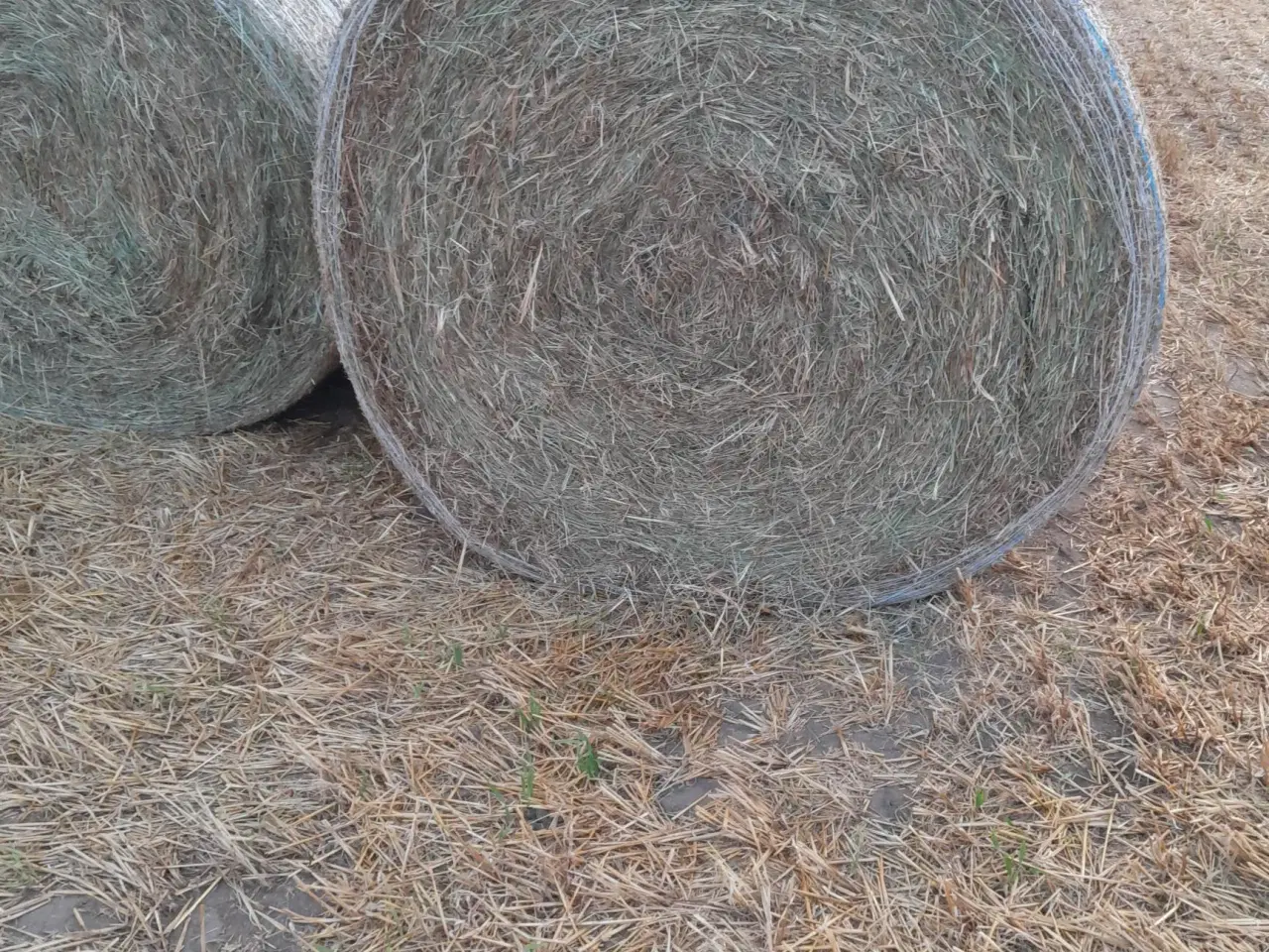 Billede 2 - Dejligt enghø 2025