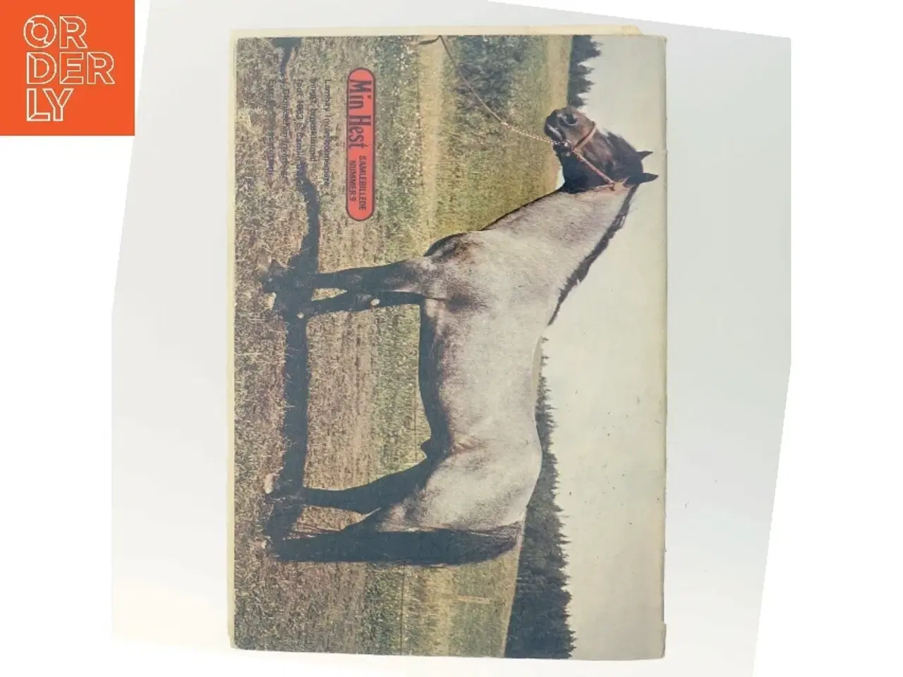 Billede 3 - Min Hest (Bog)