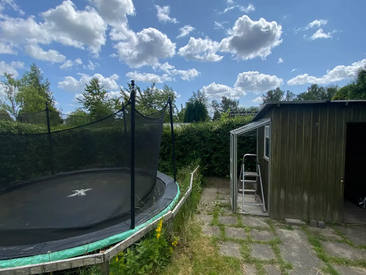 Billede 5 - Kolonihave til salg