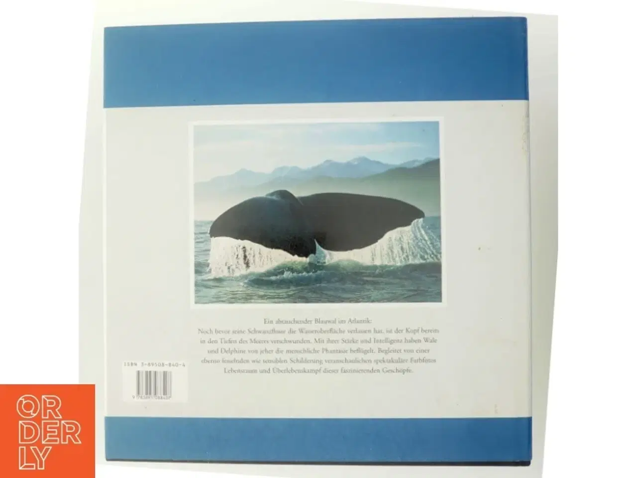 Billede 3 - Wale und Delphine af David Jones (Bog)