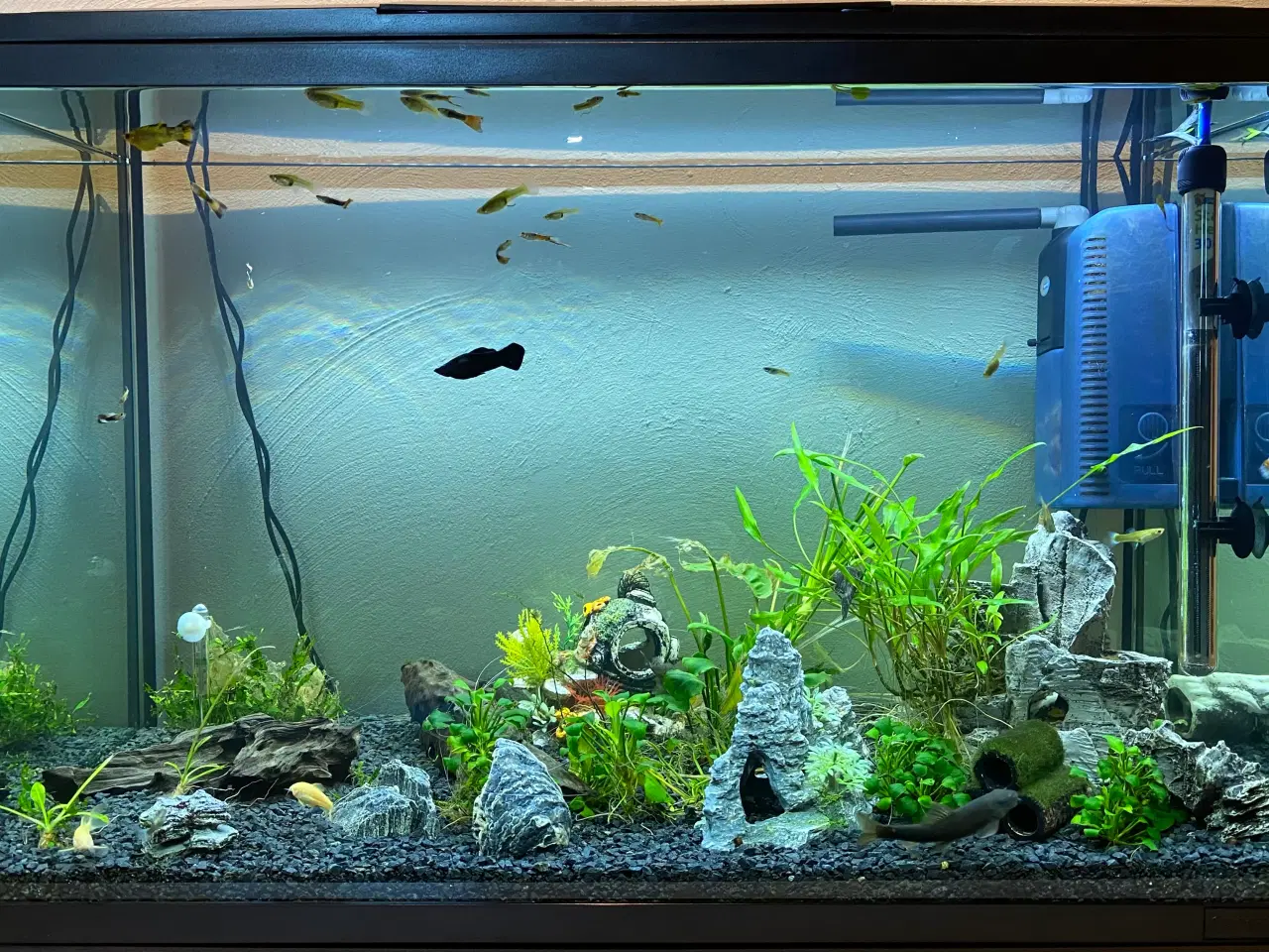 Billede 1 - Akvarie, 150 liter