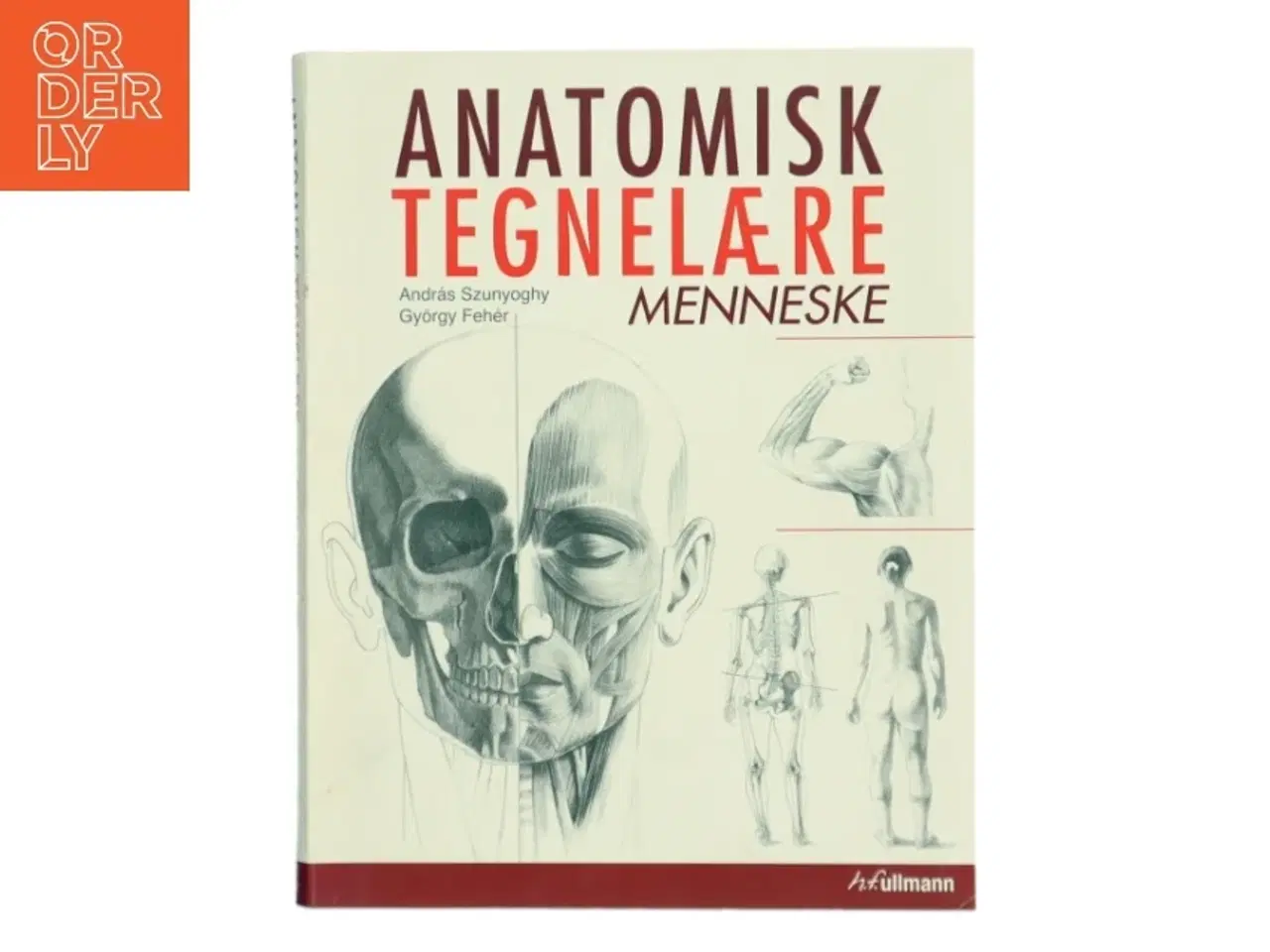 Billede 1 - Anatomisk tegnelære : Menneske af Gyrgy Fehér (Bog)