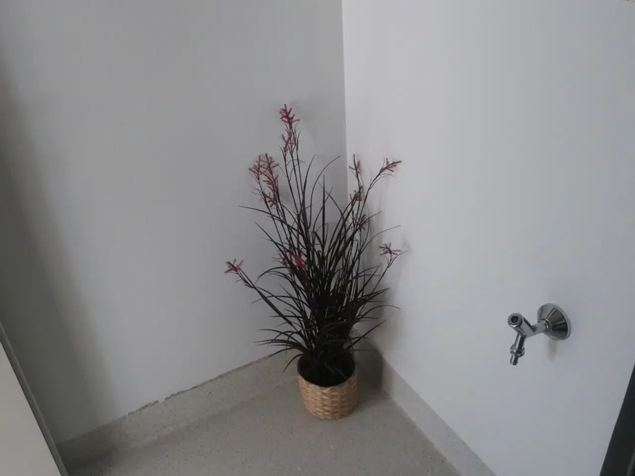 Billede 4 - Reoler / planter m.m.
