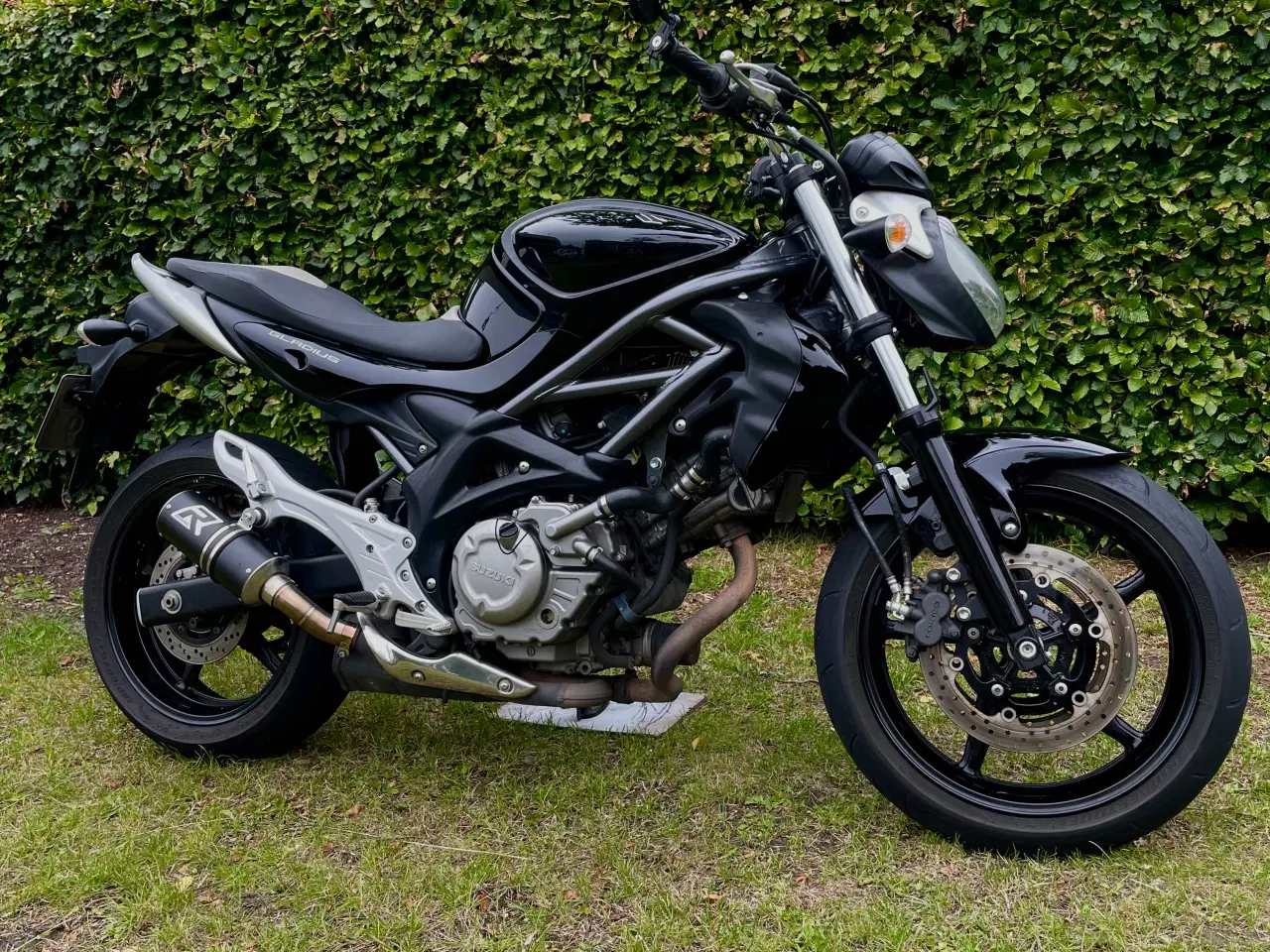 Billede 4 - Suzuki SFV 650 gladius