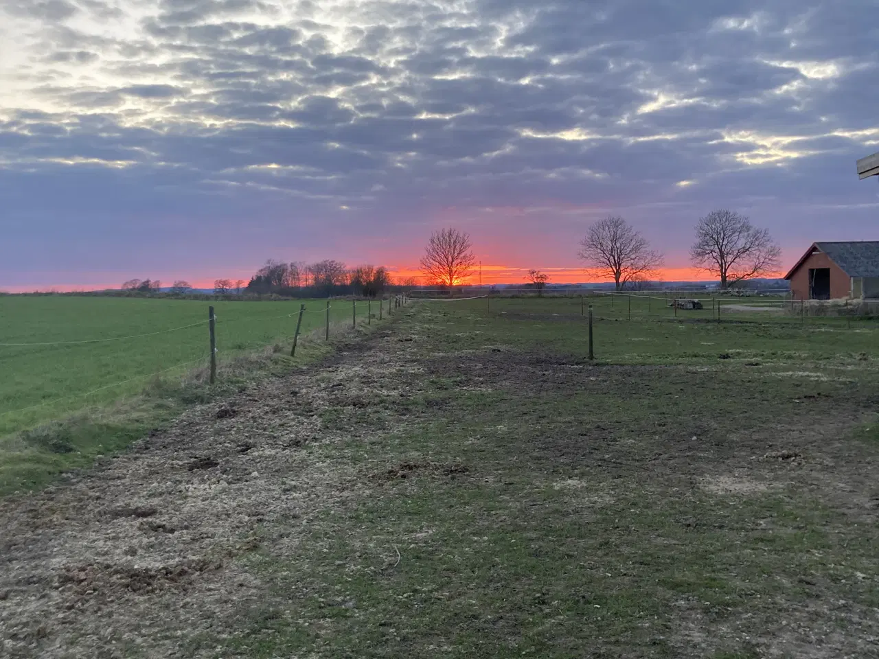 Billede 9 - Opstaldning tilbydes.Rolige og ordentlige forhold