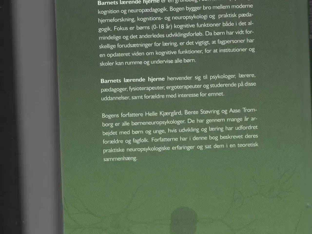 Billede 2 - Børnepsykologi