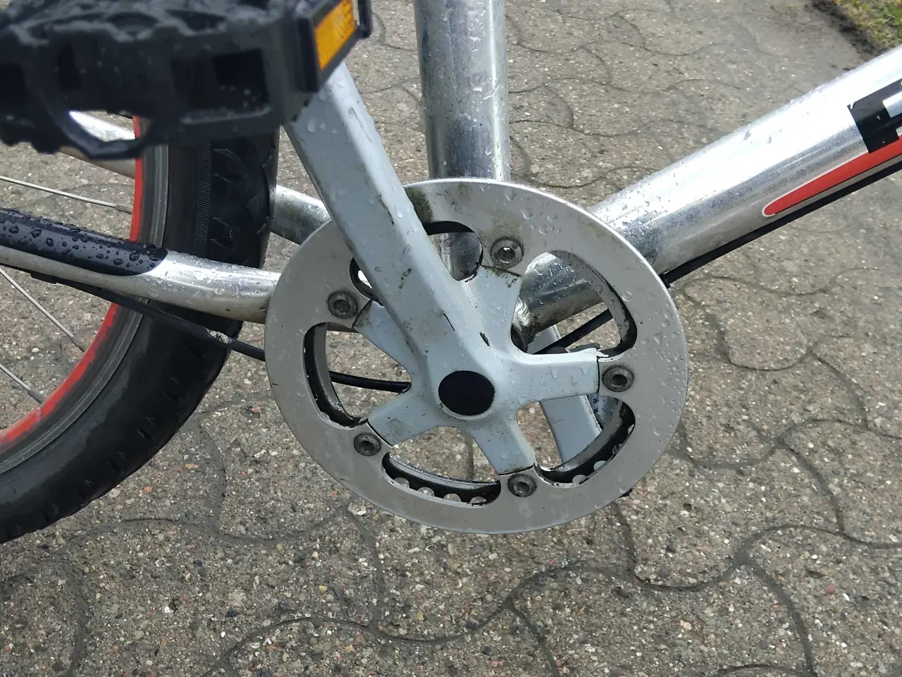 Billede 8 - Peaguet orgin