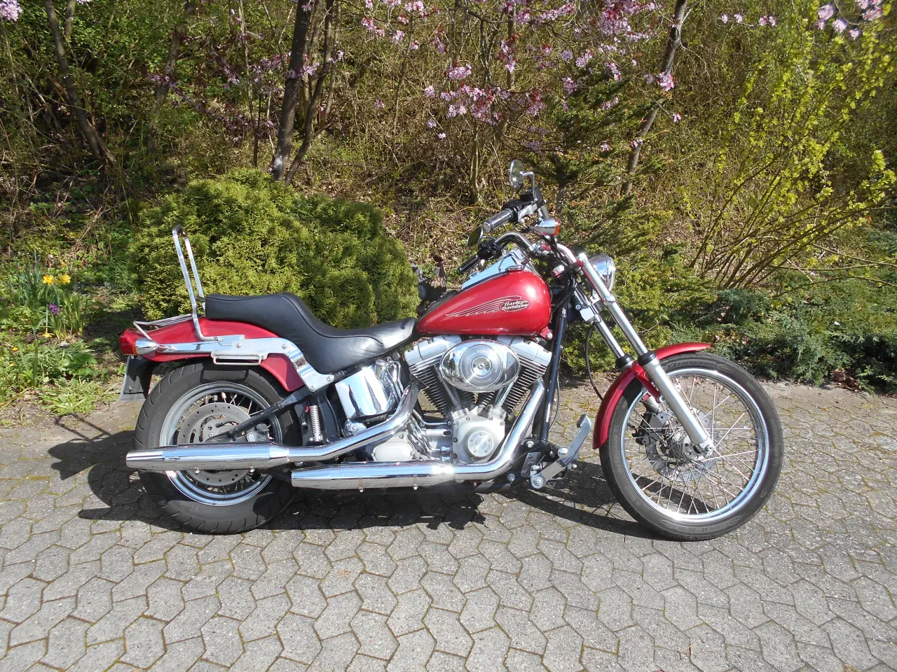 Billede 3 - Harley-Davidson Softail Standard sælges