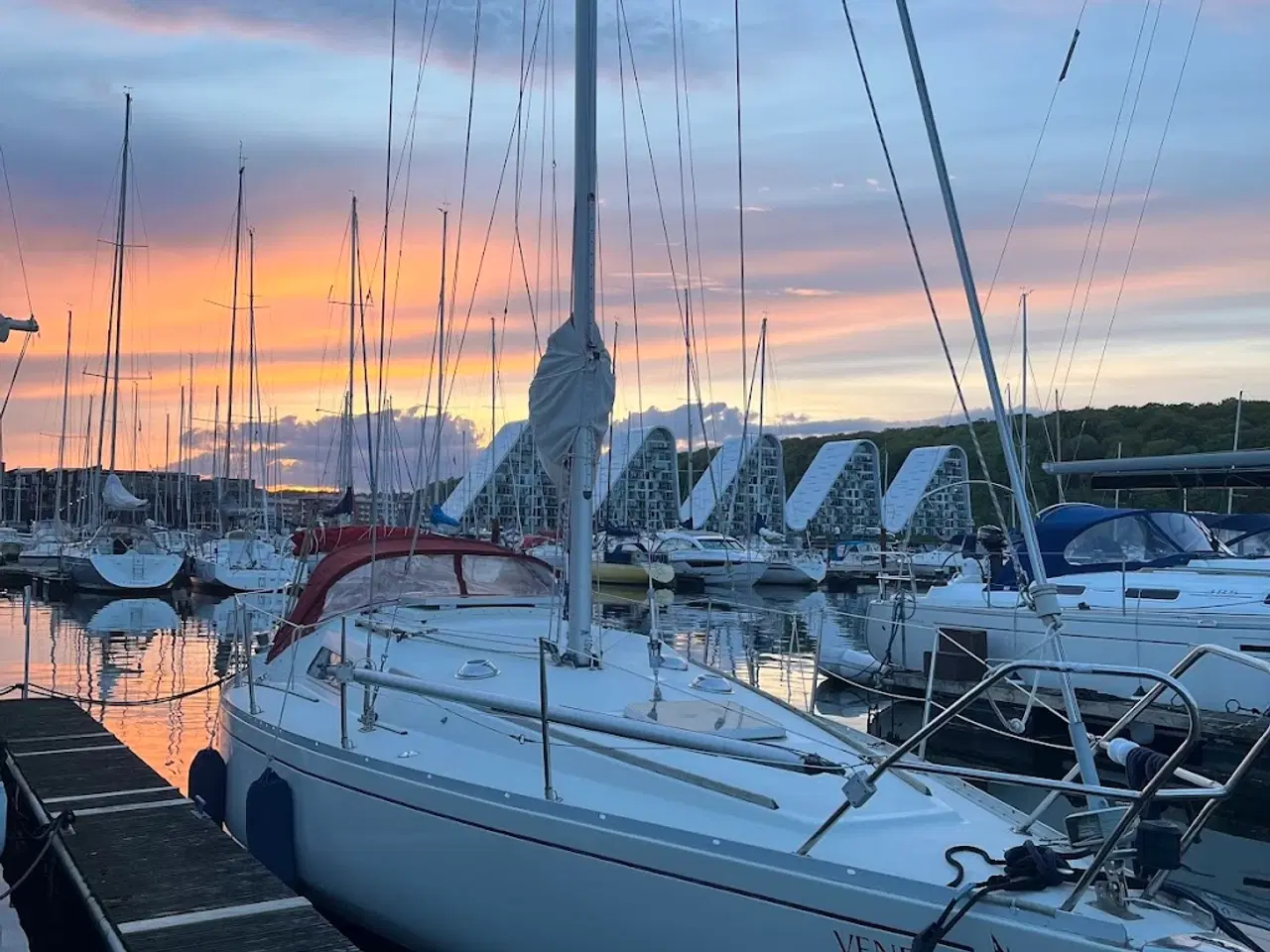 Billede 11 - Albin Scampi 30 skarp pris