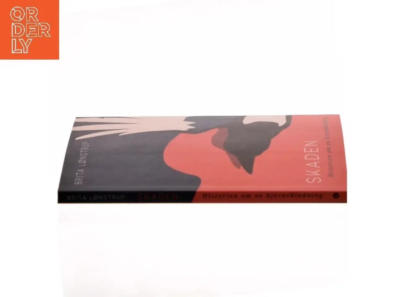 Billede 2 - Skaden : historien om en hjerneblødning af Brita Lønstrup (Bog)