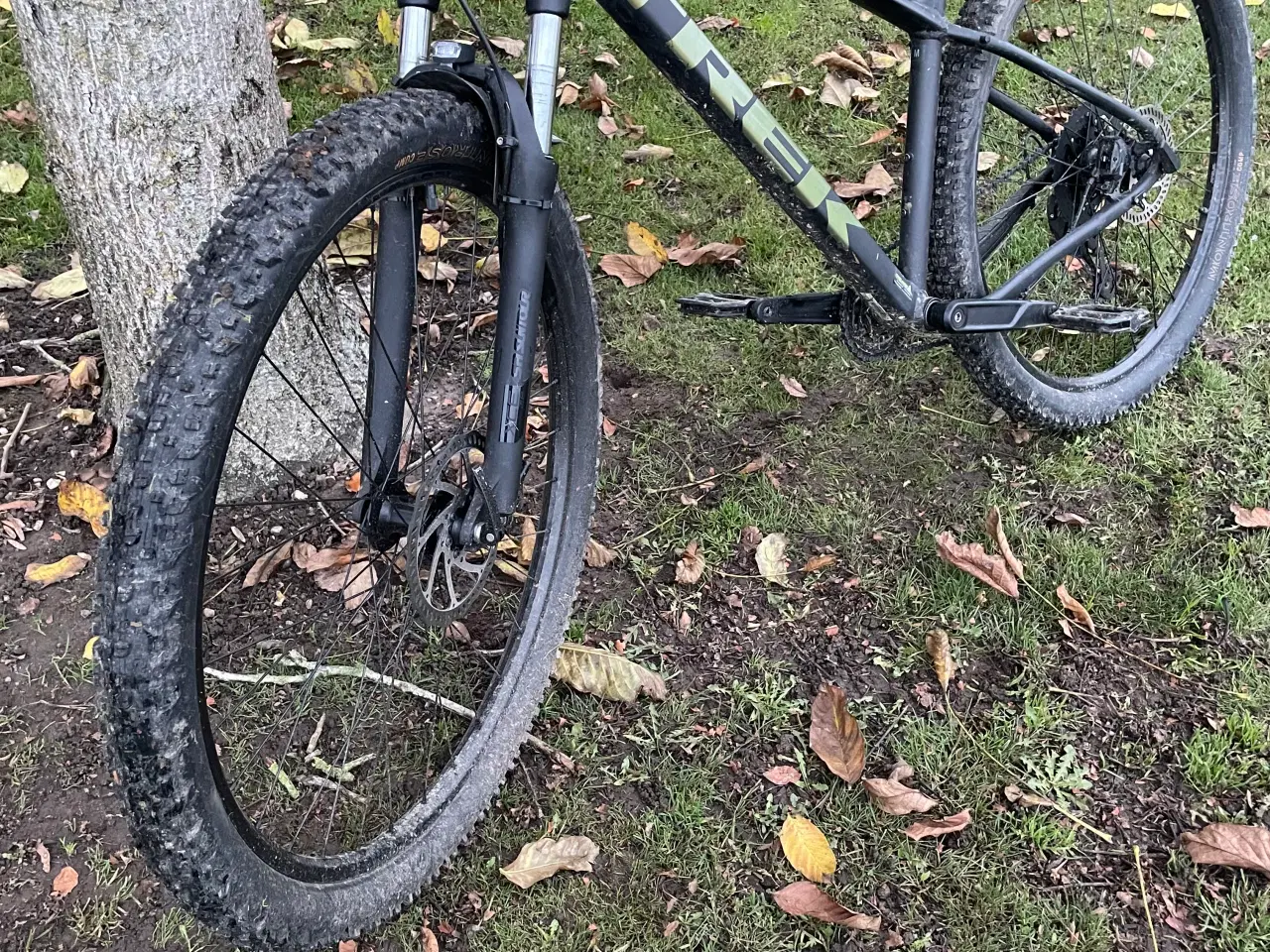 Billede 1 - Trek marlin 4 