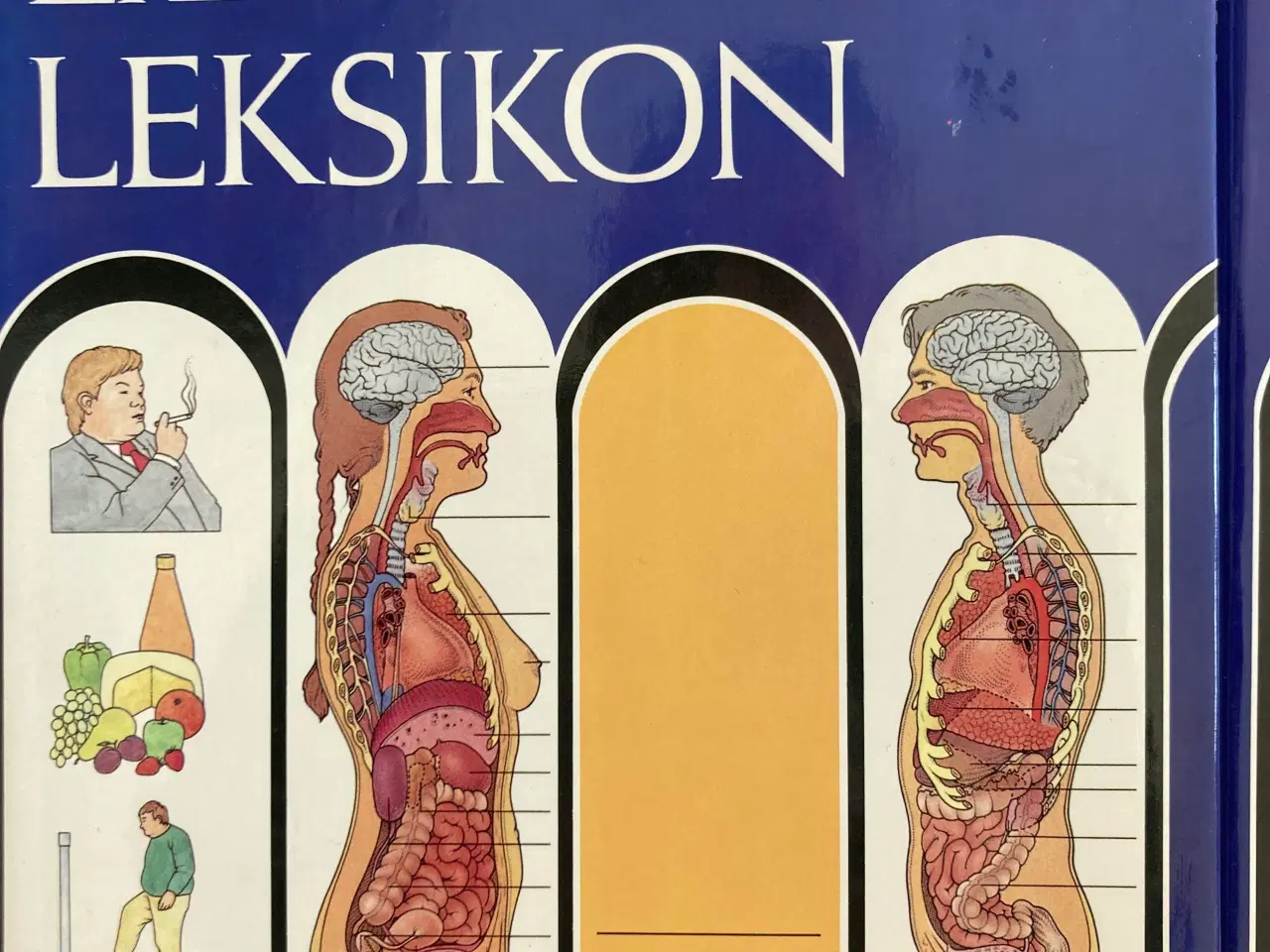 Billede 4 - Lademanns lægeleksikon bind 1-21 + 5 emnebind