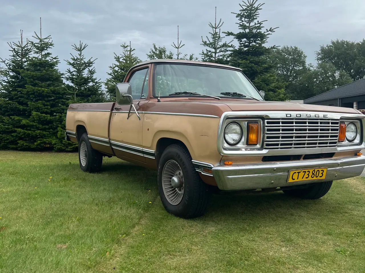 Billede 3 - Dodge D200 v8