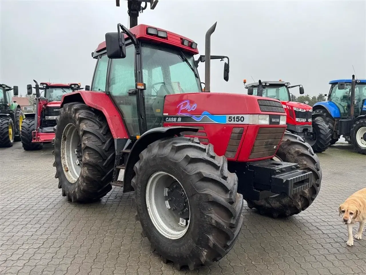 Billede 8 - Case IH 5150 Pro I FLOT STAND!