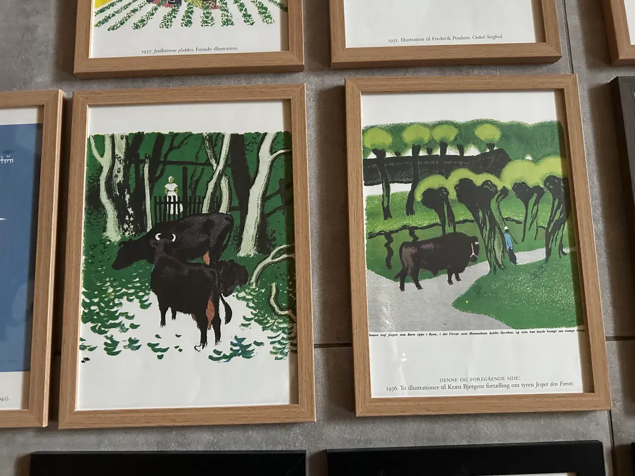 Billede 10 - Sikker Hansen billeder